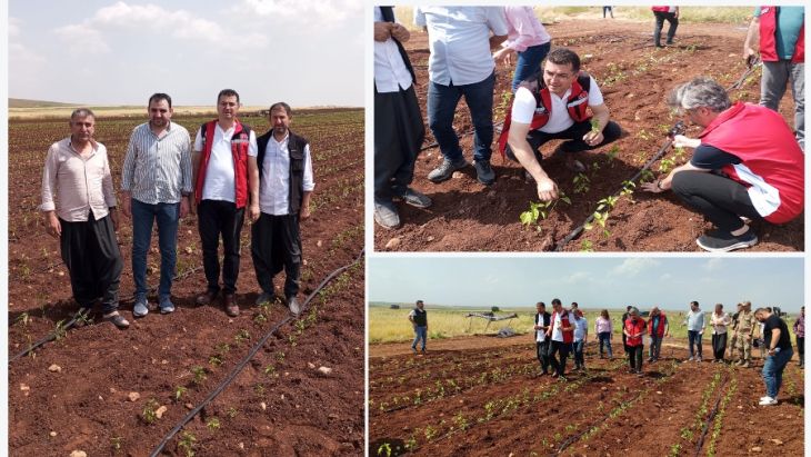 Tarım ve Orman İl Müdürü Aksoy' Planlı Tarım Şart'
